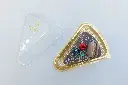 7Y7A7521.webp