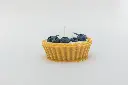 7Y7A7612.webp