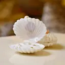 Bride Seashell Candle شمعة العروس صدفة البحر